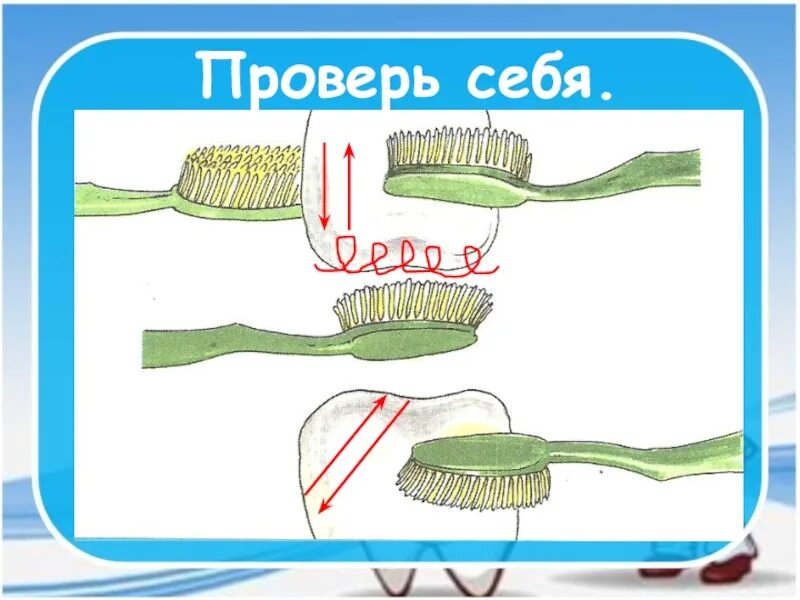 Чистим зубы окружающий мир. Почему нужно чистить зубы и мыть руки. почему нужно чистить зубы и мыть руки 1 класс. как чистить зубы окружающий мир 1 класс. как правильно чистить зубы окружающий мир 1 класс.