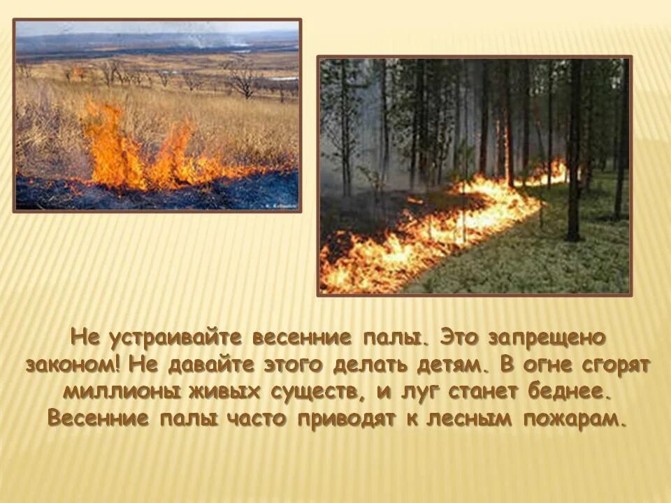 Акции пал пал. Весенние палы. Нет весенним палам. Картина весенние палы. Нет весенним палам картинки.