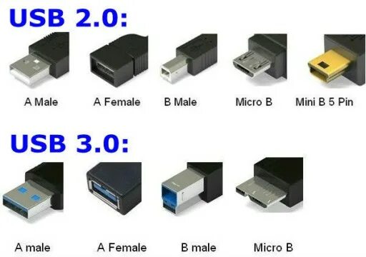 Разъем Micro-b male для USB 3.0. Типы юсб разъемов. USB USB 3.0 USB A. USB B 3.0 разъем. Как отличить usb