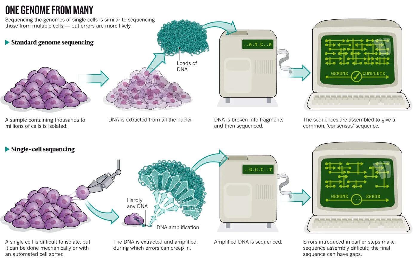 Метод drop-on-demand. Method cell. Gram negative cell wall. Вестерн блот. Silac proteomics.