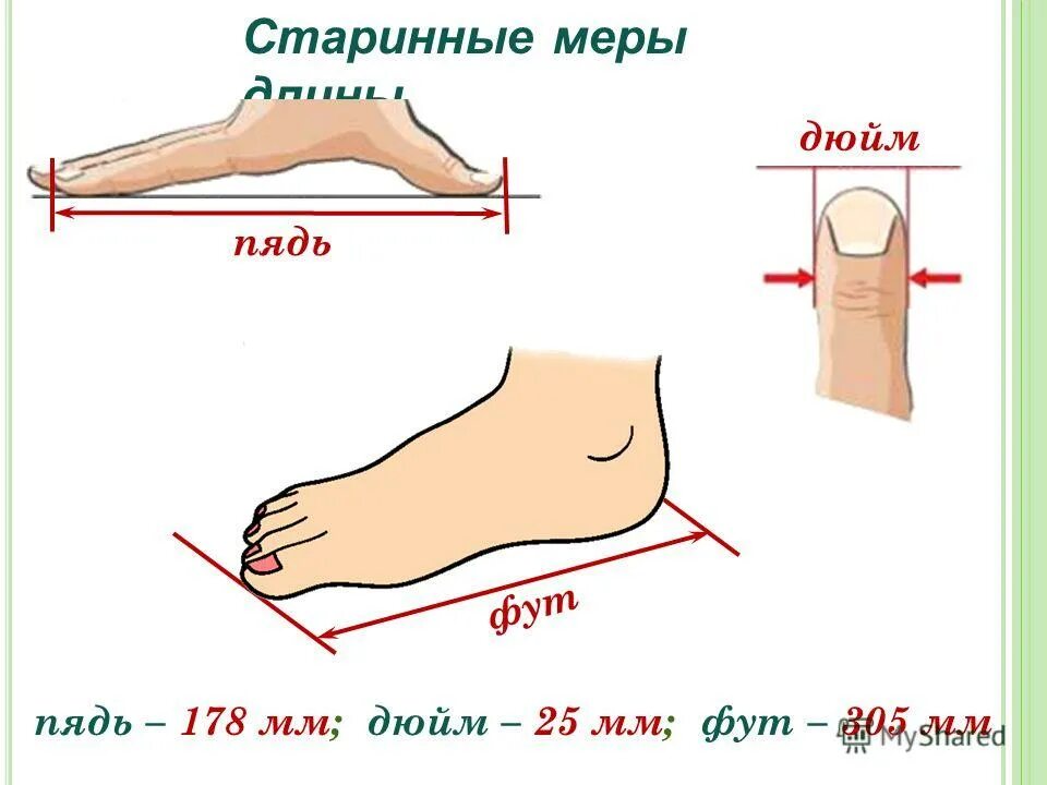 Прямые фут. Старинные меры длины. Фут мера измерения. Старинные меры длины дюйм. Старинные меры длины пядь.