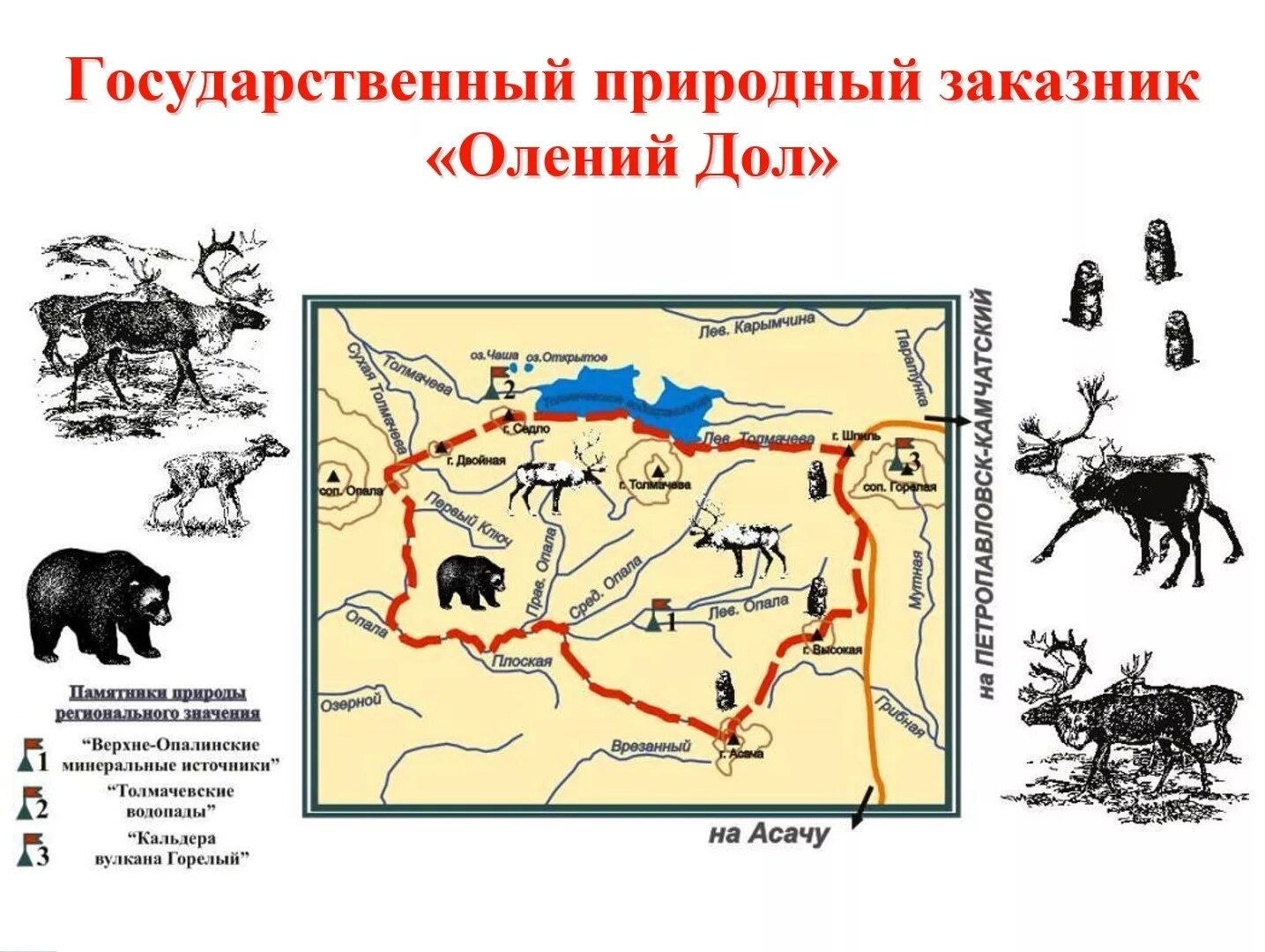 Положение о государственных природных заказниках. Заказник олений дол. олений дол камчатка. заказник олений дол границы. положение о заказнике олений дол камчатка.