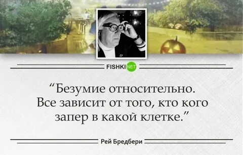 Цитаты рея