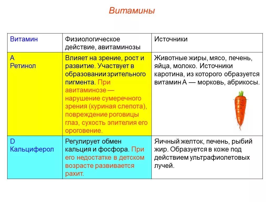 Витамин участвующий в образовании зрительного пигмента. Физиологическое действие витамина д. Физиологическое действие витамина а. Витамин а физиологические эффекты. Витамины и их физиологическое значение.