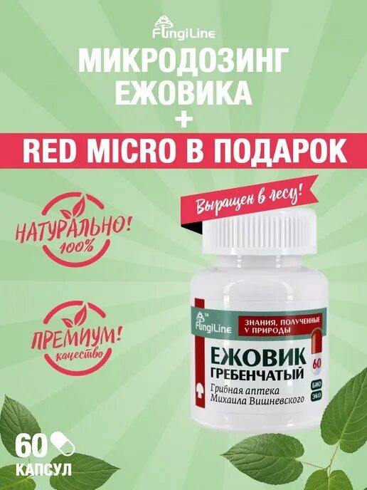Грибная аптека в спб. Грибная аптека михаила вишневского. Грибная аптека вишневского спб. Грибная аптека вишневского спб. Грибная аптека бутырская.