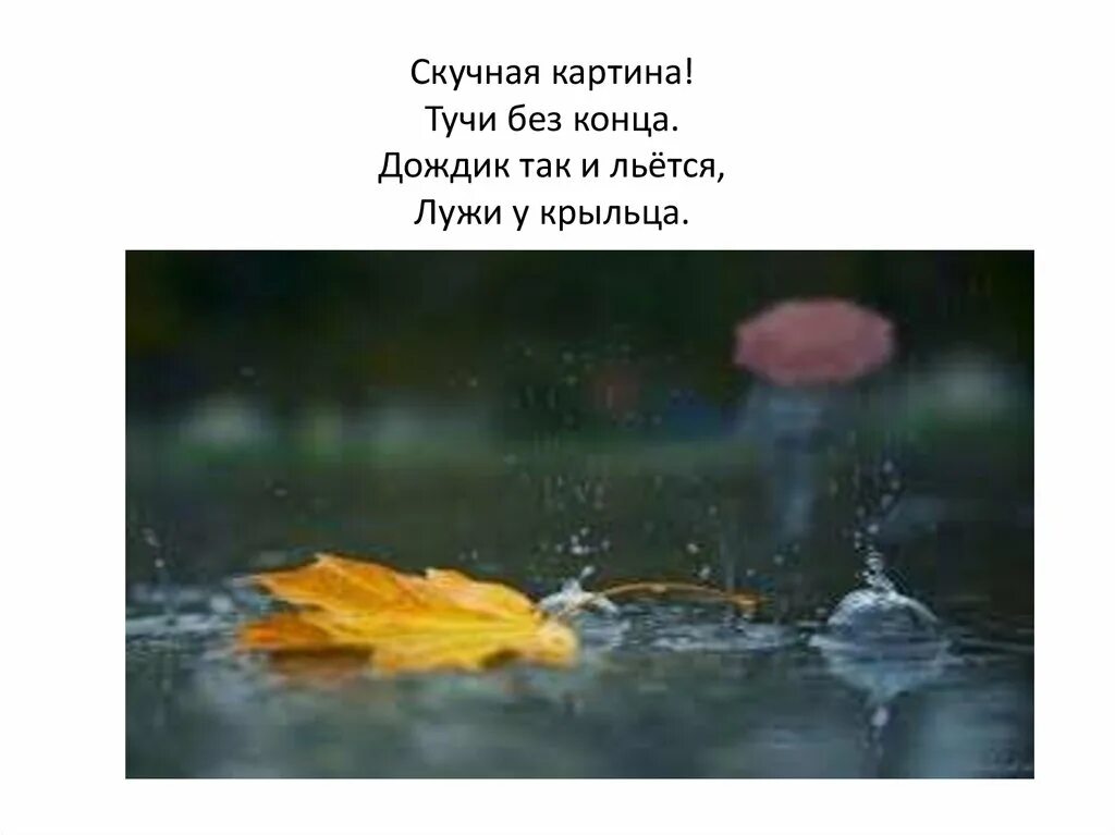 Какую погоду скорее просыхают лужи от дождя. Скучная картина тучи без конца дождик так и льется лужи у крыльца. скучная картина дождик без конца. скучная картина тучи без конца дождик. скучная картина дождик так и льется.
