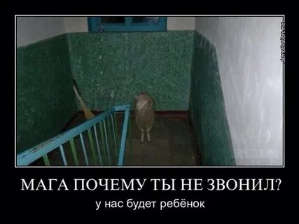 Магу вышел