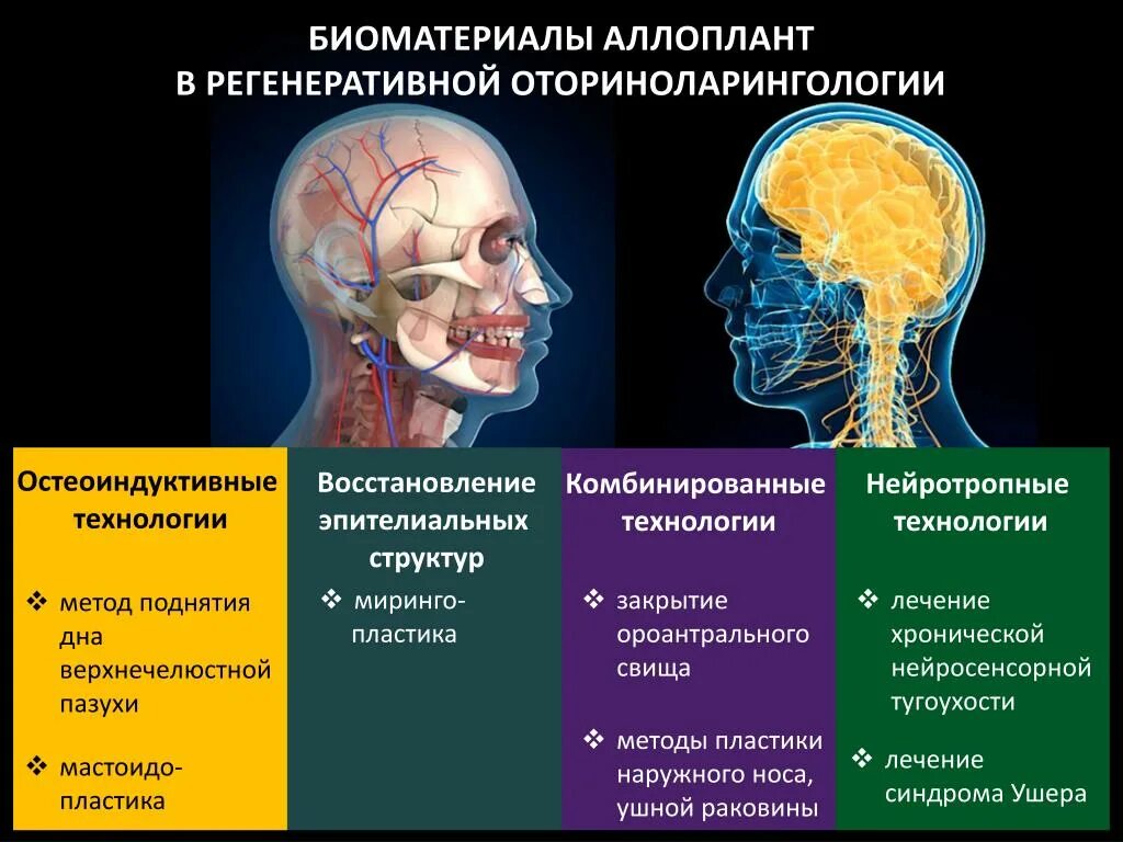 Биоматериал Аллоплант. Аллоплант для суставов. Аллоплант лекарство. Ретросклеропломбирование Аллоплантом.