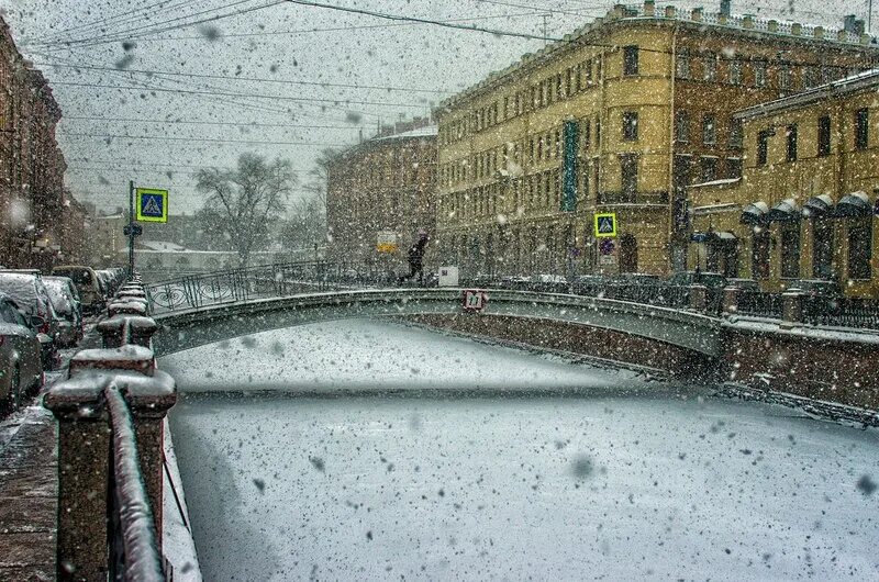 Холод спб