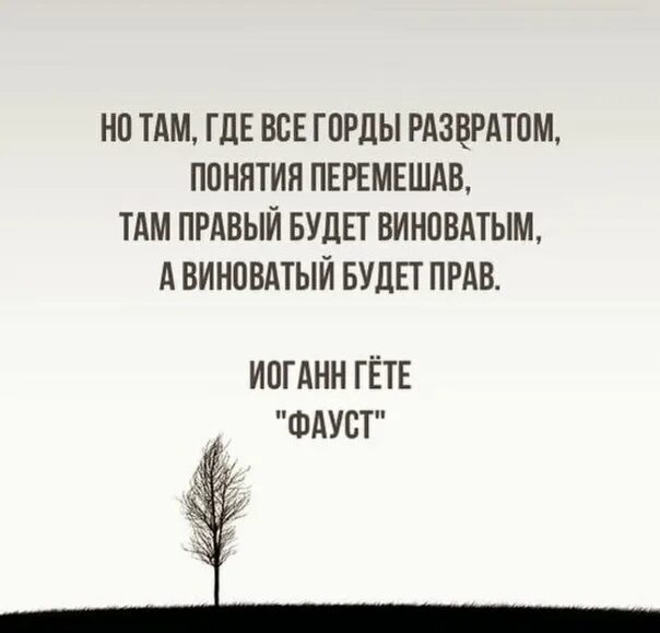 Признание ошибок цитаты. Кто там был виноват. Надо уметь признавать свои ошибки. Признавать свои ошибки высказывания. Кто там был виноват.