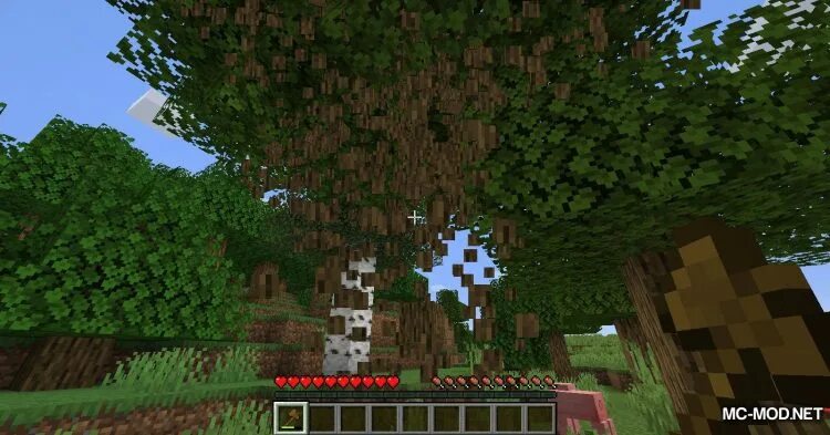 Fallen tree мод. Falling tree мод на майнкрафт. мод falling tree 1.16.5. срубленное дерево майнкрафт. мод на падение деревьев.