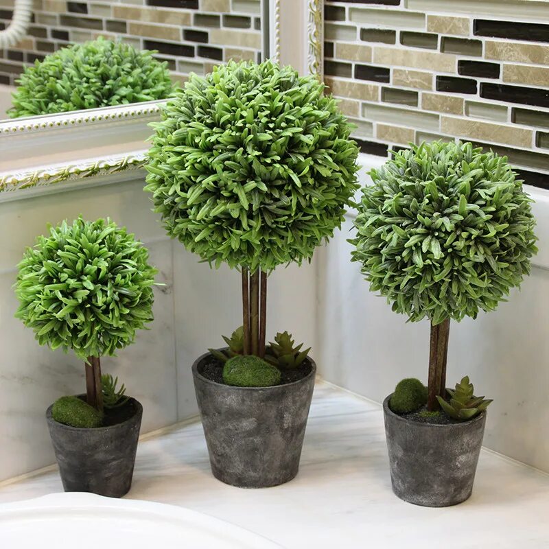 искусственные деревья. большие декоративные деревья. фикус гинкго. большие декоративные деревья. маленькие комнатные деревья.