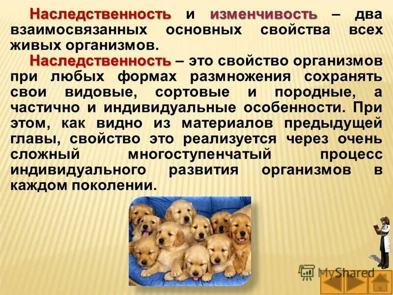 Свойства живых организмов наследственность