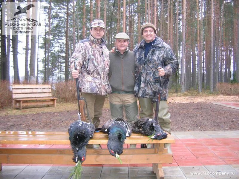 Весенняя охота 2024 ульяновская область