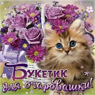 Открытки вайбер с днем