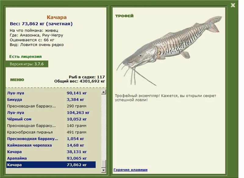 рыбалка 3 амазонка. русская рыбалка река амазонка. пайяра рыба на что ловить. игра рыбалка на реке амазонка. рыбалка 3 амазонка.