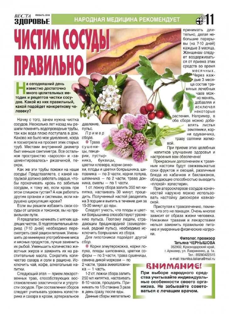 Народное средство для сосудов мозга. Чистка сосудов народными средствами. народные рецепты чистки сосудов. народные средства для очистки сосудов. народный рецепт очищения сосудов.