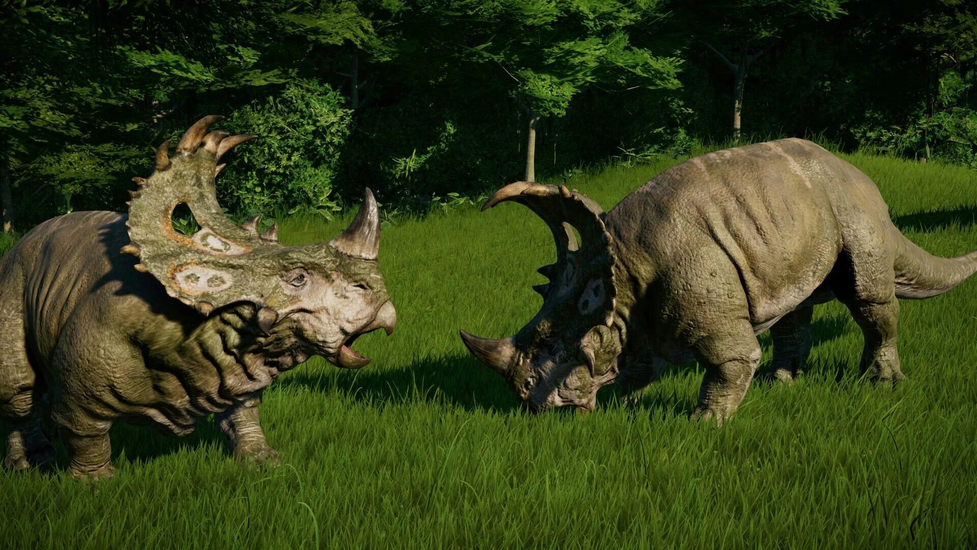 Синоцератопс. Синоцератопс jurassic world. синоцератопс мир юрского периода 2. синоцератопс jurassic world evolution. синоцератопс jurassic world evolution 2.