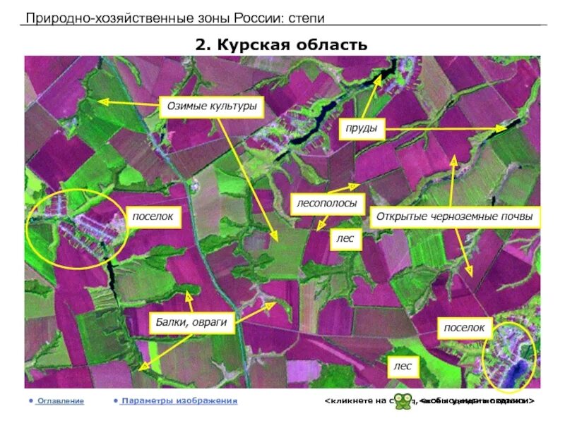 Какая природная зона в курской области. Карта почв Курской области. Природно хозяйственные зоны России. Курская область почвы. Почвенная карта Курской области.