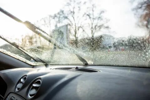 Windscreen