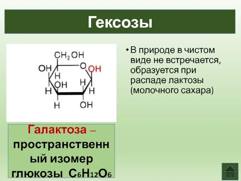 Моносахариды гексозы. Углеводы галактоза. Изомеры Глюкозы. Галактоза биологическая роль. Гексоза это