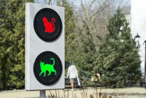 Светофор светлогорск