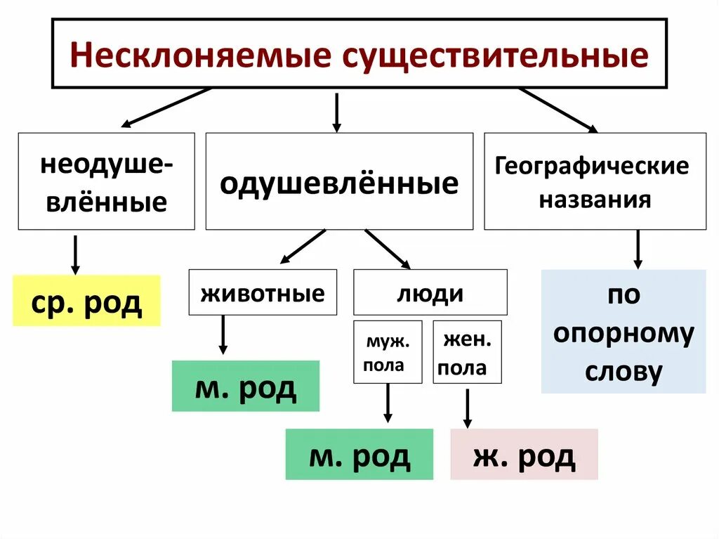 Род несклоняемых имен существительных. Род несклоняемых имен существительных 6 класс. Рот не склоняемых имён существительных. Род имя существительное 6 класс.