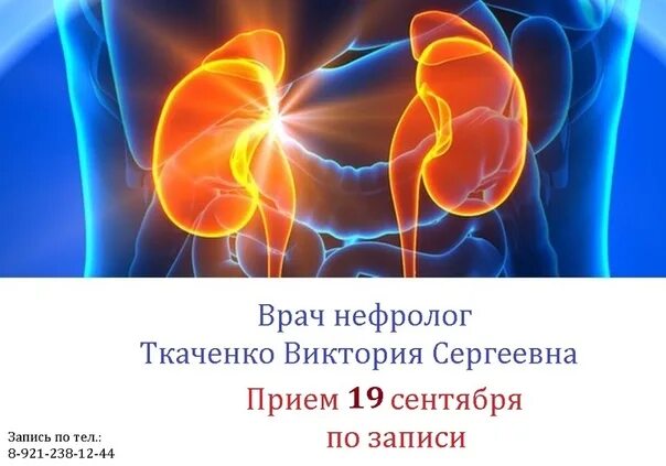 Прием врача нефролога. Нефролог. Консультация нефролог. Почки нефролог. Нефролог реклама.