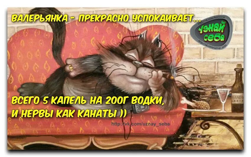 Картинки нервный день. Приколы про нервы в картинках. Успокаивает нервы прикольные. Стишок про валерьянку. Как успокоить нервы картинки.