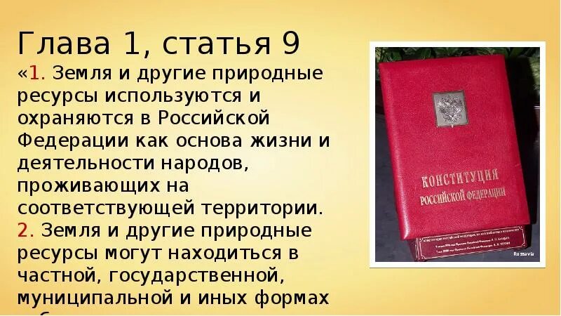 Закон об охране животных. В российскойфедерацииохра. законы российской федерации о охране животных.