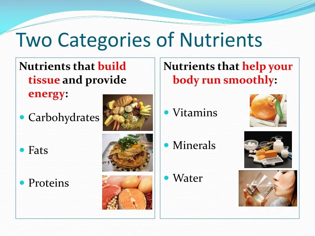 Proteins fats carbohydrates. Картинка Proteins fats carbohydrates Vitamins. Carb Protein fats. Nutrients.
