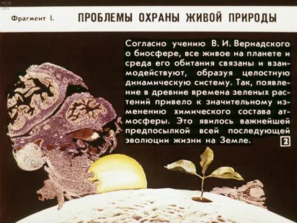 Благородный мир