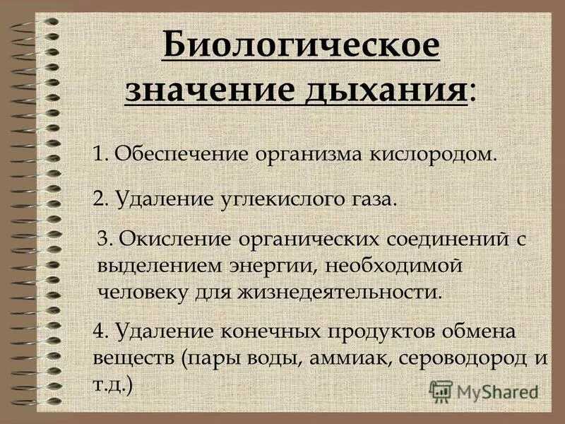 Удаление конечных продуктов жизнедеятельности направлено на. Значение дыхания. Биологический смысл дыхания.