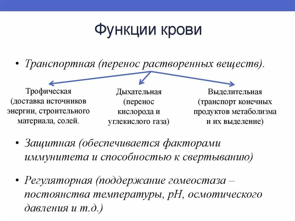 В чем проявляется транспортная функция. Регуляторная функция крови. Биохимические функции крови. Транспортная дыхательная функция крови. Физиологические функции крови биохимия.