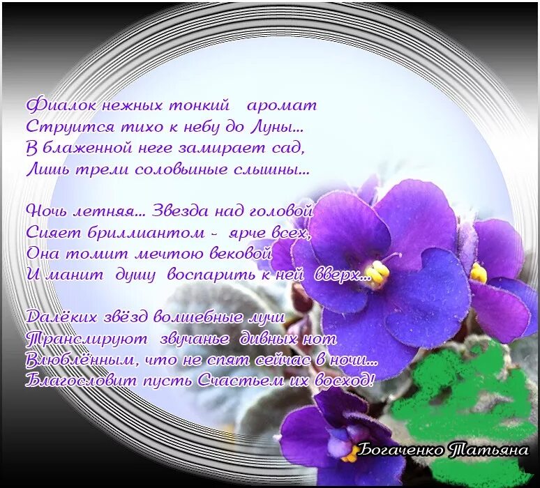 Песня поплакала и вновь фиалка. Стих про фиалку. высказывания о фиалках. стихи про фиалку короткие. стишки про фиалку.