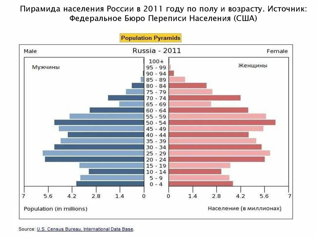 Перепись населения 2011 в россии
