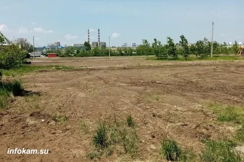 Спроси парк