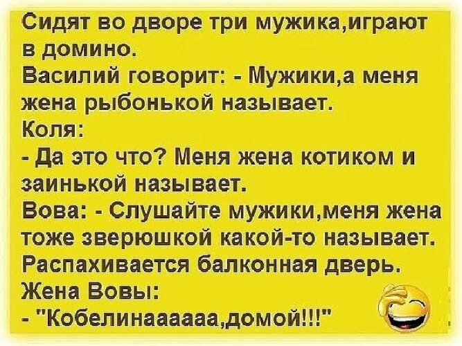 Анекдоты про хозяин. Анекдот про гостей. Смешные фразы про гостей. Анекдоты хозяев. Анекдоты про хозяин.