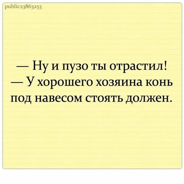 Конь под навесом стоять должен. Хороший конь под навесом. Шелтер конюшня. У хорошего хозяина конь под навесом стоять должен. Хороший конь должен стоять под навесом.