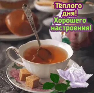 Доброго утра теплого дня картинка