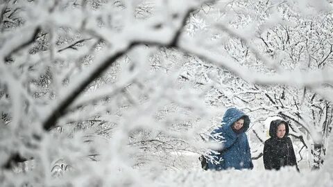 Погода на предстоящую зиму