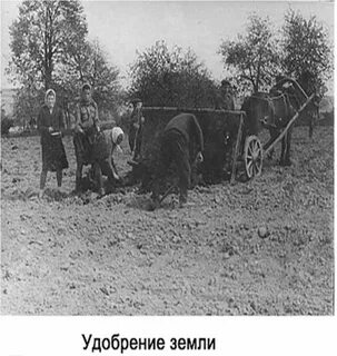 Рассказ колхоз