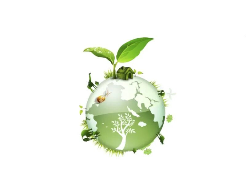 Популяризация экологии. Экологические знания. Экологические знания Gyu. День экологических знаний 2023.