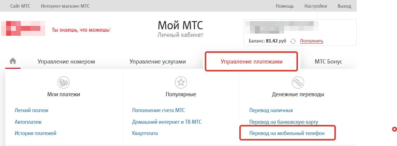 Мтс интернет личный кабинет по номеру. МТС личный кабинет. Управление платежами МТС личный кабинет. МТС интернет личный кабинет. Выход из личного кабинета МТС.