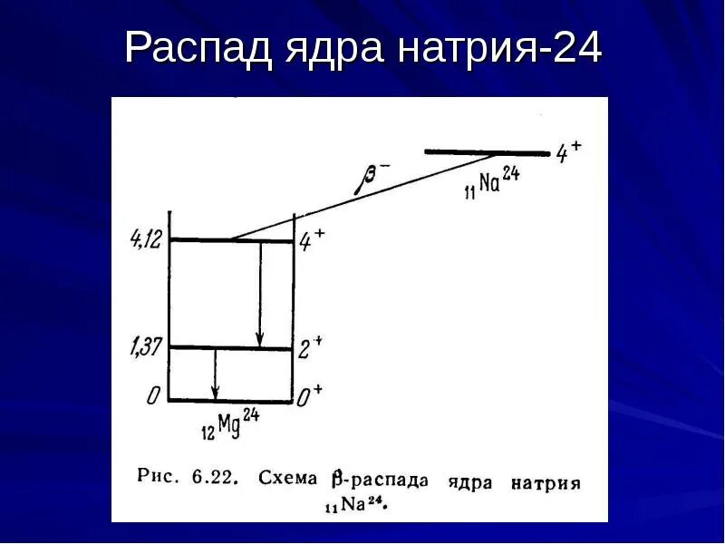 Радиоактивный натрий. Схема распада натрия 24. Распад натрия 24. Распад ядра натрия. Схема распада ядра PB.