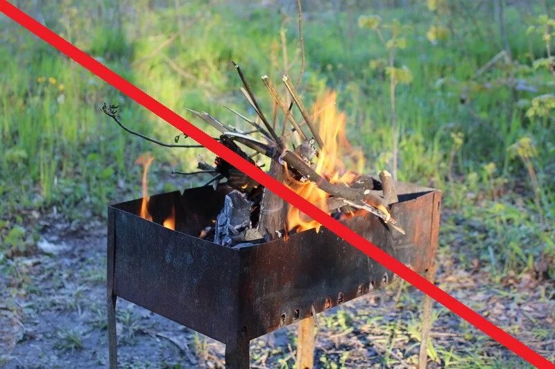 Можно ли мангал в лесу. Мангал на природе. Мангал для костра. Мангал с огнем. Мангал в лесу.