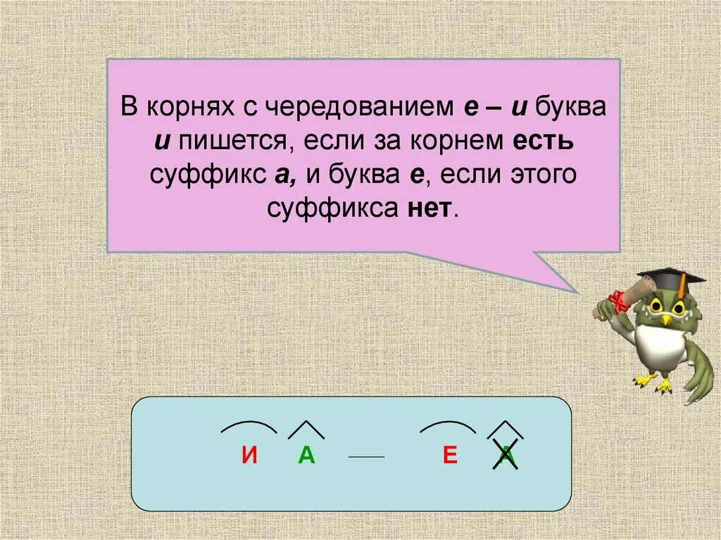 Е корнева. Корни с чередованием. Корни с чередованием е и. Буквы е и в корне с чередованием. Буквы е и и в корнях с чередованием правило.