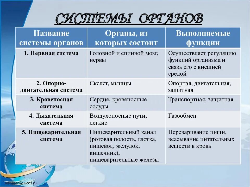 Системы органов человека состав и функции. Таблица по биологии 8 класс система органов органы функции. Таблица по биологии 8 класс название системы органы функции. Система органов человека таблица название системы / органы/ функции. Таблица система органов и органы входящие в систему.