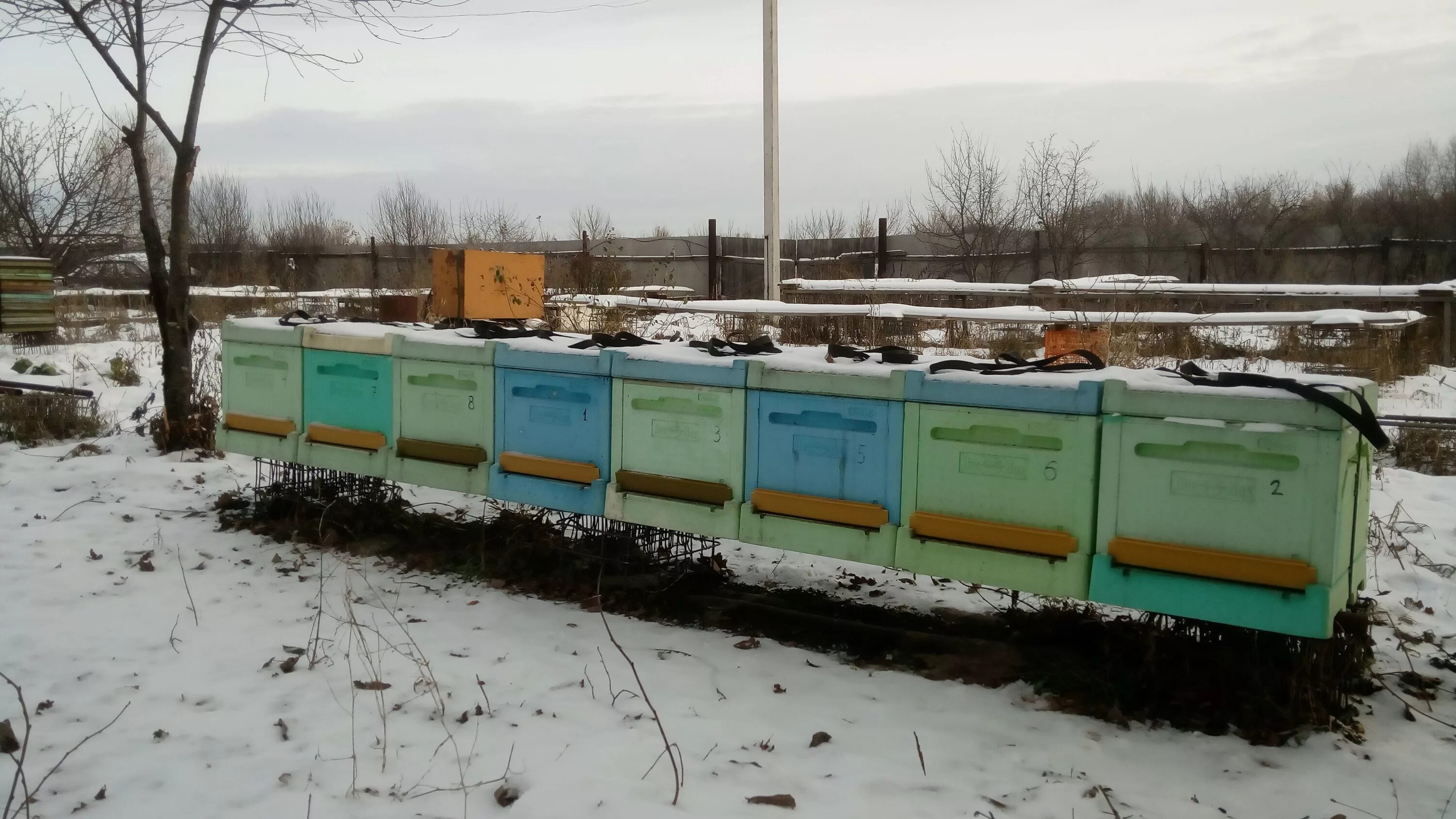 Зимовка пчел на воле на урале. Зимовка пчел на воле. Пасека дмитриевых. Пасека дмитриевых. Ивано-казанка пасека.