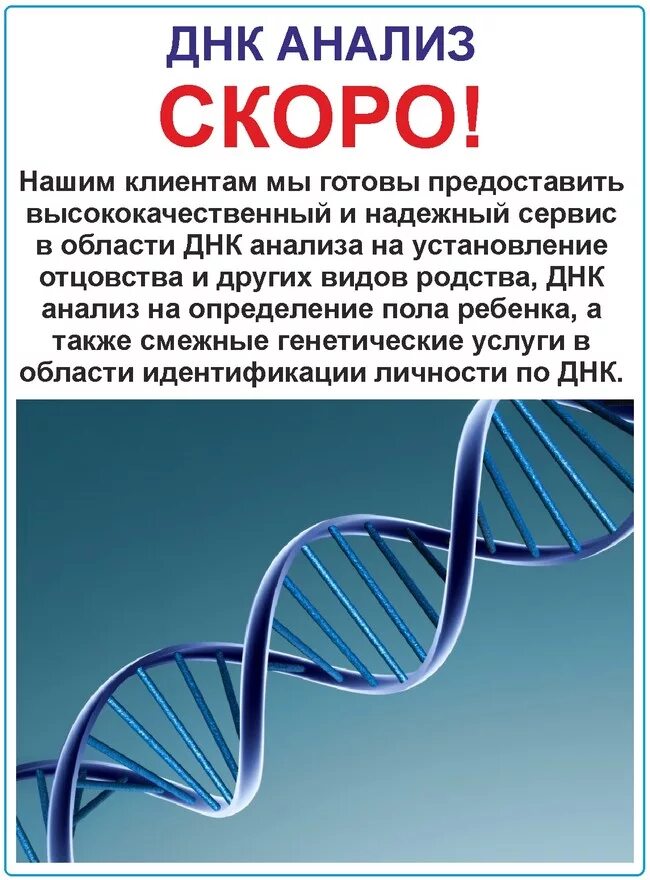 Как можно сделать днк. Анализ днк. генетические исследования. генетический тест. днк экспертиза.